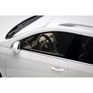 VOLKSWAGEN VW PASSAT (B6) R36 VARIANT CANDY WHITE 2008 OttO mobile 1:18 Resinemodell (Türen, Motorhaube... nicht zu öffnen!)